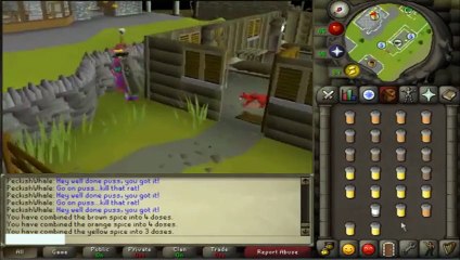 Runescape 2 - Treasure Trail Complete