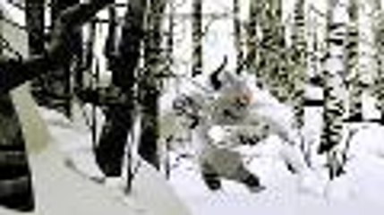 Tráiler de Fantasia Music Evolved en HobbyConsolas.com