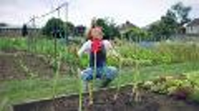 Tráiler de Harvest Moon A New Beginning en HobbyConsolas.com