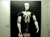InMoov, robot humanoide por 800 euros