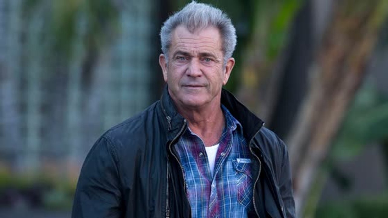 Mel Gibson sagt mit ihm und Ricky Gervais sei 'alles fantastisch'