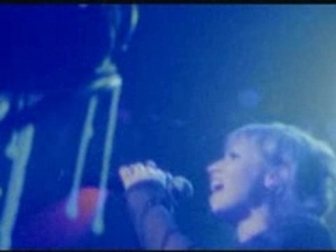 The Cramberries - Animal Instinct