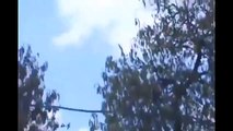 Türk Jetleri Suriye Helikopterini Düşürdü ! İşte O Görüntüler !