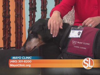 Mayo Clinic shares a new study on dogs and heart patients