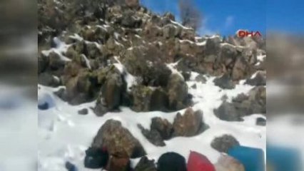 Doğubayazıt Cumhuriyet Savcısının Şehit Edilmesini Planlayan ile Yardım Edenler Yakalandı