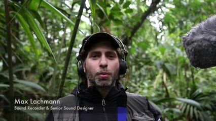 Avalanche Studios in the Jungle