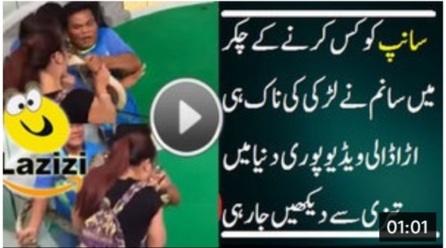 Snake bites woman on the face after she tries to KISS it