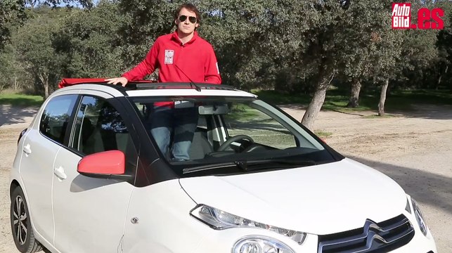 conclusion - CITROEN C1