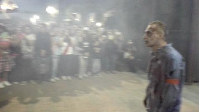 The Walking Dead Huawei Ascend Mate 7