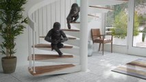 Corning® Gorilla® Glass 4- Sneak Attacks