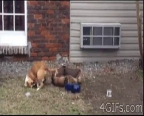 FUNNY & SEXY HOT VIDEO CLIPS 2015 ;-) FUNNY FAILS SEXY GIRLS