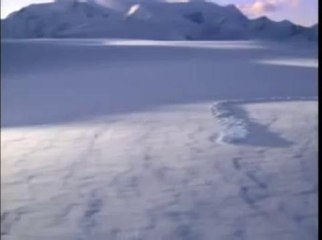 Jeep. 1995