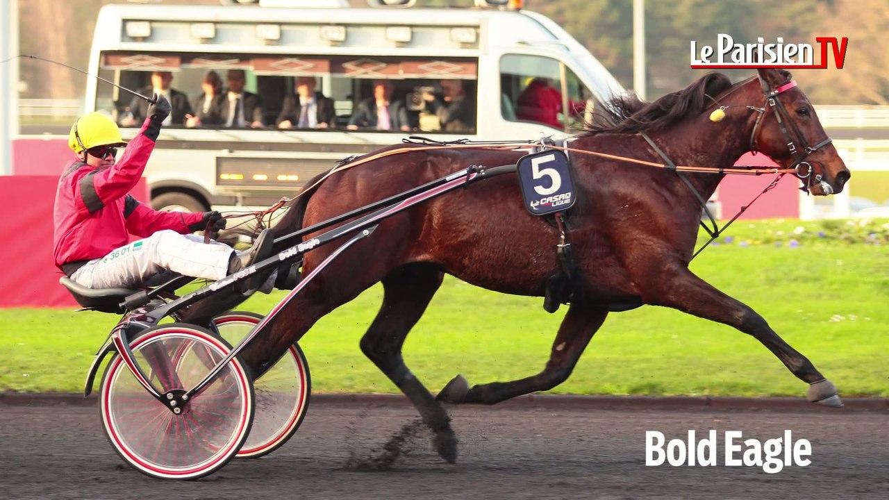 A cheval : nos pronostics pour le Prix de Belgique à Vincennes