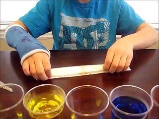 WALKING WATER Easy Kids Science Experiments