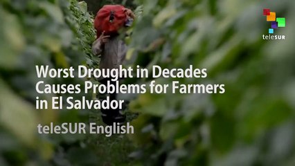 Worst Drought in Decades Causes Problems for Farmers in El Salvador