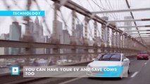 You can have your EV and save cows too
