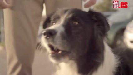 Subaru Dogs Teaser On the Lot Super Bowl 2013