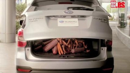 Subaru Dogs Teaser Tailgate Super Bowl 2013