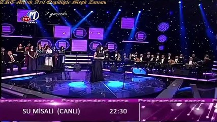 GÜLŞAH ÇUBUKÇUOĞLU SÖNMEZ - AĞLAMAKLA İNLEMEKLE ÖMRÜM GELİP GEÇİYOR