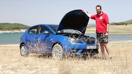 Aparcar sobre hojas secas