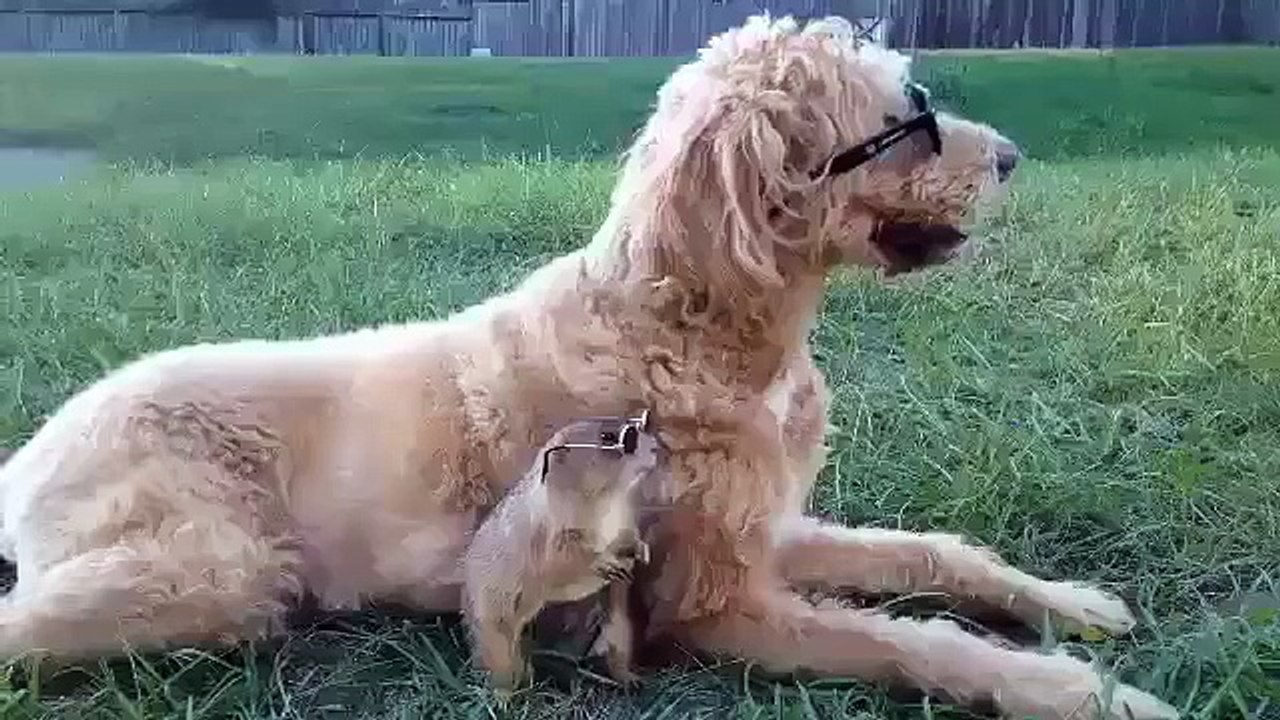 Hiiiii