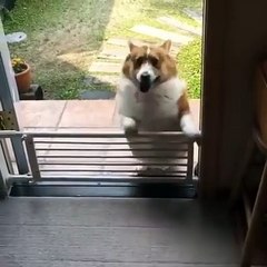 Me attempting to work out