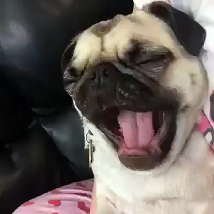 Morning be like