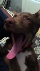 When you wake up early in the morning (2)