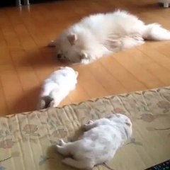 Whenever I'm running in my dreams