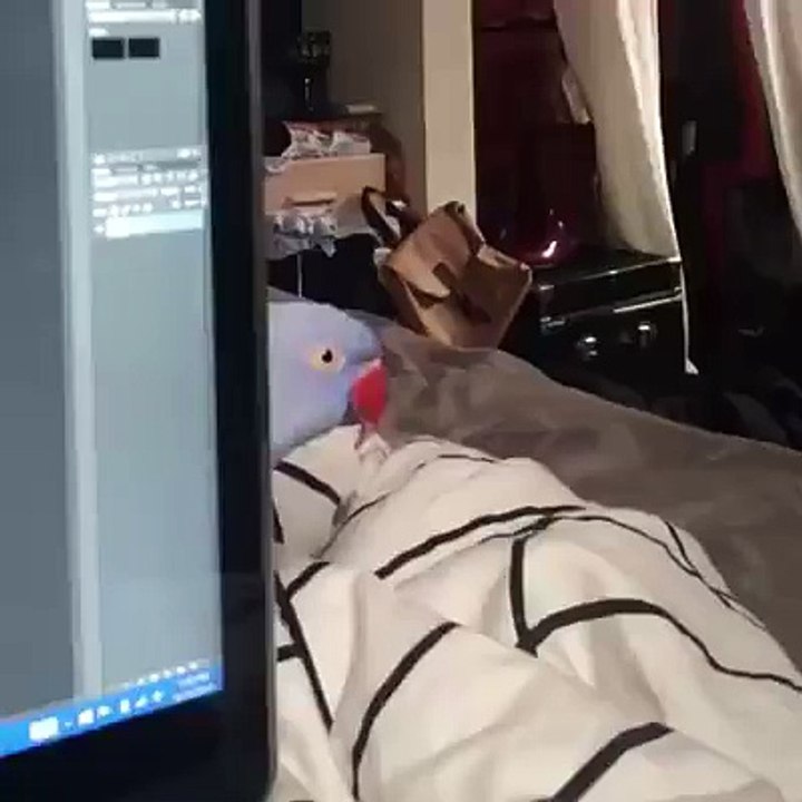 Why I can't get anything done