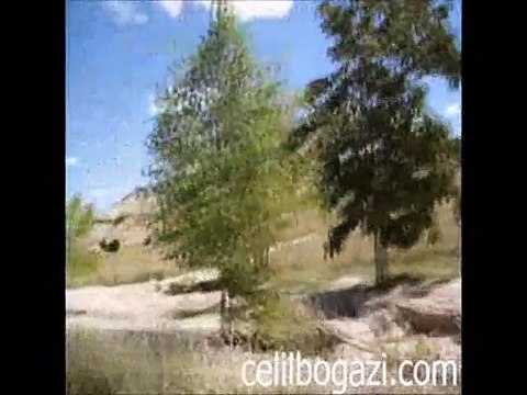 celilbogazi.com'un Kuruluş Hikayesi...2