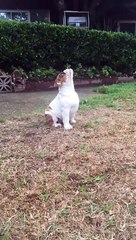 What is this water falling from the sky