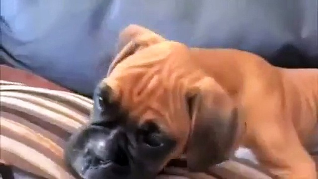 When you just don't understand