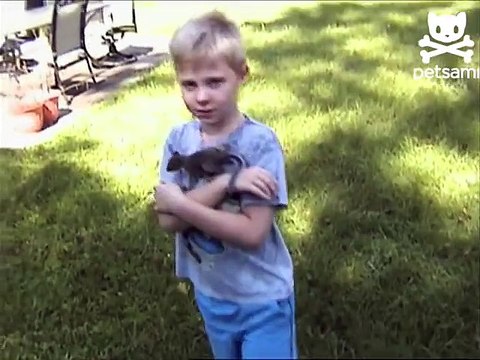 P&F Chipmunk - Squirrels In My Pants