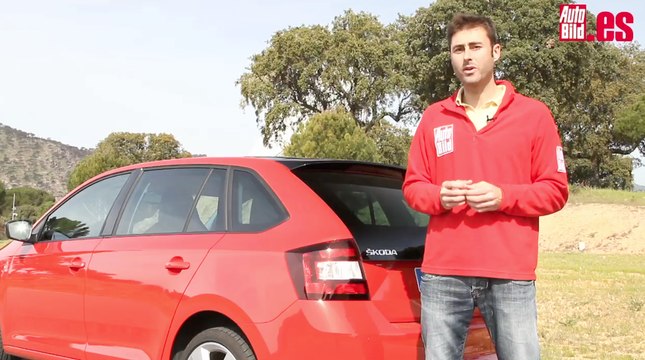 conclusión - SKODA SPACEBACK TDI DSG