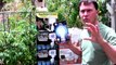 Solar Powered Aquaponic System Grows Fish and Vegetables Anywhere