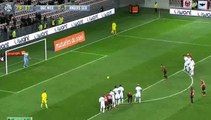 Ben Arfa H. (Penalty) goal - Nice 1 - 1tAngers - 15-01-2016