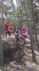 toni-bou