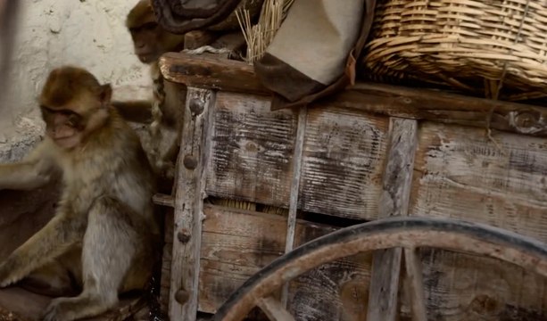 Primer asistente de aparcamiento de la historia