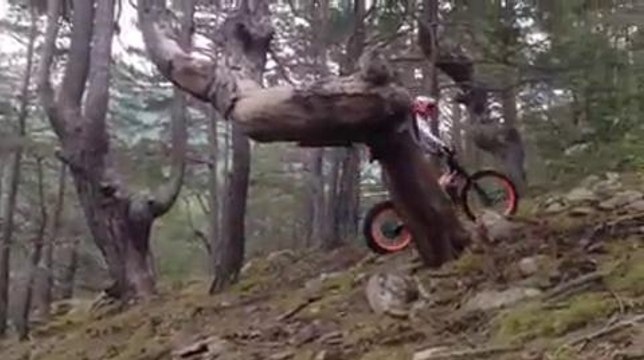 Toni Bou subiendo a los árboles European HQ in Italy