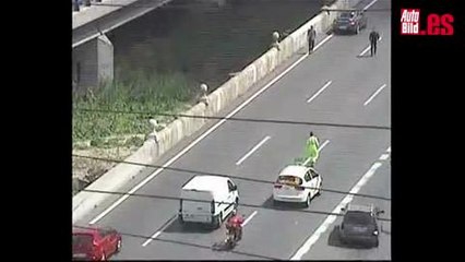 Unos patitos con su madre por la carretera con final feliz