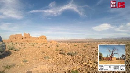 Viaje Vicente entero