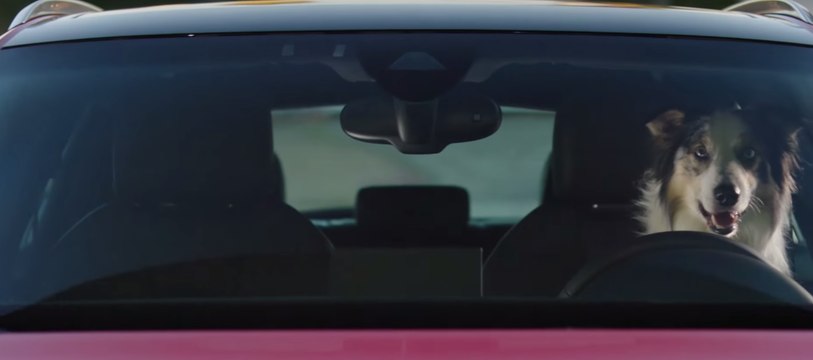 Audi A3 Sportback e-tron_lucha de perros