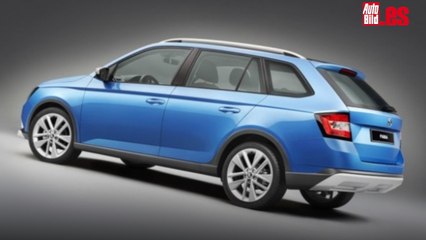 Download Video: Skoda Fabia Scout