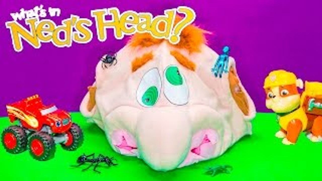 NEDS HEAD Surprise Game Paw Patrol + Blaze Play Neds Head Surprise Egg Video Toy Unboxin