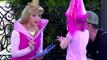 Disneys Princess Aurora Meet and Greet in Epcot at Walt Disney World