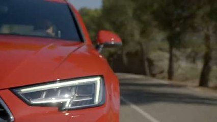 Nuevos Audi A4 e A4 Avant