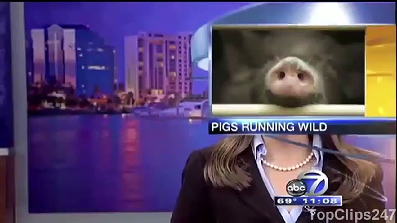 Funny Clips Of November 2015 News Funny