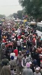 Bhagwant Mann Road Show During Aap Magi Rally In Muktsar