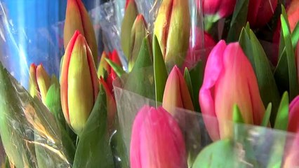 Germán Torres: un "jeepero" de corazón